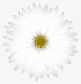 Delicate White Daisy Transparent Png Clip Art Image - Hp 1010 Clutch Gear, Png Download, Transparent PNG