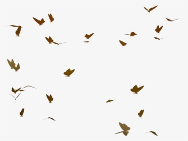 Flying Butterflies Png Transparent Images - Real Flying Butterflies Png, Png Download, Transparent PNG