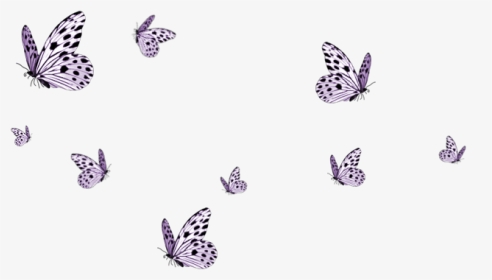 Butterfly Tumblr Ftestickers Sticker - Pink Flying Butterfly Png, Transparent Png, Transparent PNG