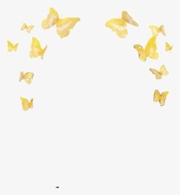 Snapchat Filter Flying Butterfly, HD Png Download, Transparent PNG