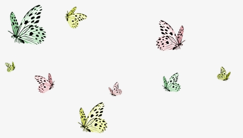 #butterflies #butterfly #flying #butterflysticker #dailysticker - Transparent Background Butterflies Png, Png Download, Transparent PNG