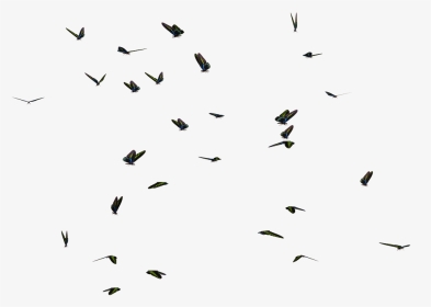 Butterflies Png Swarm Butterfly Stock By Roy - Swarm Of Butterflies Transparent, Png Download, Transparent PNG