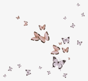 #butterfly #pink #flying #animals - Skipper (butterfly), HD Png Download, Transparent PNG