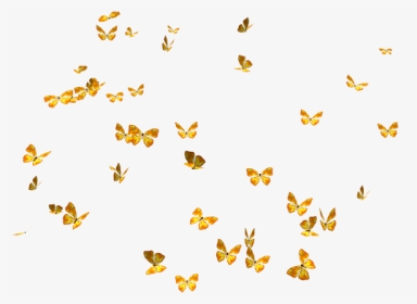 Lots Of Butterflies Png, Transparent Png, Transparent PNG