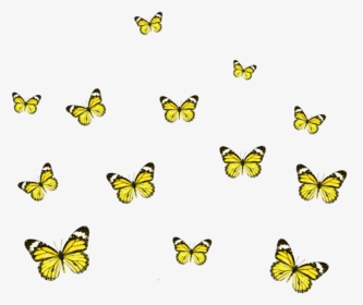 Yellow Butterfly Picsart, HD Png Download, Transparent PNG