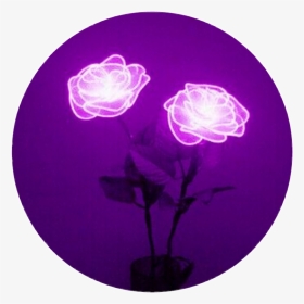 #aesthetic #tumblr #purple #circle - Purple Aesthetics, HD Png Download, Transparent PNG