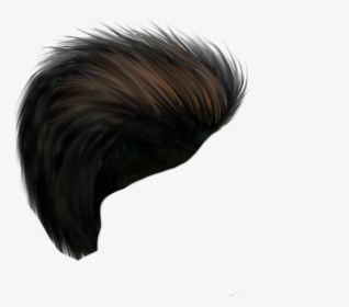 Cb Hair Png Download Free For Photo Editing Latest - Hair Png Hd,  Transparent Png , Transparent Png Image - PNGitem