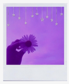 #frame #purple #aesthetic #tumblr - Aesthetic Purple Picture Frame, HD Png Download, Transparent PNG