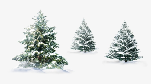 Transparent Background Christmas Snow Png, Png Download, Transparent PNG
