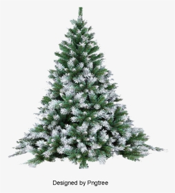 Pine Tree Snow Png - Christmas Tree With White Snow, Transparent Png, Transparent PNG