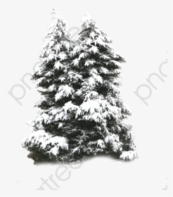 Frost Png Psd Frost Png Psd - Tree With Snow Png, Transparent Png, Transparent PNG