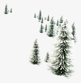 Christmas Wallpaper Hd Snowmen, HD Png Download, Transparent PNG