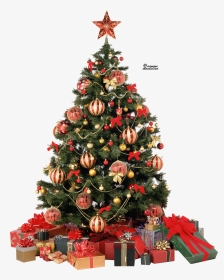 Transparent Christmas Tree Png, Png Download, Transparent PNG
