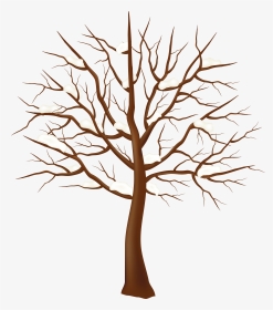 Tree Winter Clip Art - Transparent Tree Branches Clipart, HD Png Download, Transparent PNG