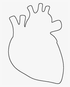 Simple Real Heart Drawing, HD Png Download, Transparent PNG