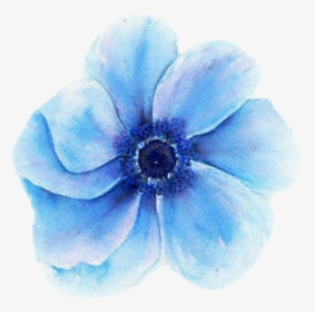 Transparent Blue Flower - Blue Watercolor Flowers Svg, HD Png Download, Transparent PNG