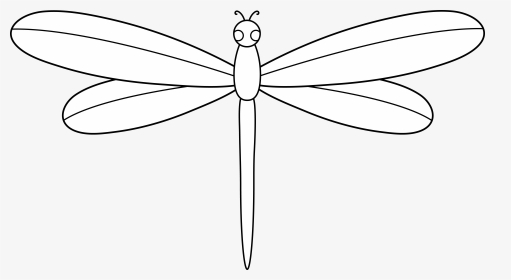 Dragonfly Png Simple Drawing Clip Art Library - Dragonfly, Transparent Png, Transparent PNG