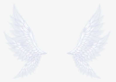 #wings #angel #dreamy #neon #blingbling #lighting #colorful - Pigeons And Doves, HD Png Download, Transparent PNG