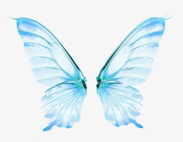Fairy Wings Png -0 14c891 59efcec6 Orig Wings Png, - Angel Butterfly, Transparent Png, Transparent PNG