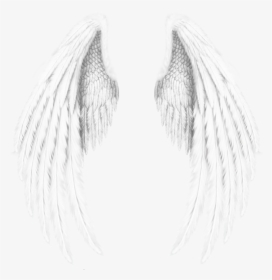 #wings #angel #angels #angelwings #feathers #freetoedit - Wings Angel, HD Png Download, Transparent PNG