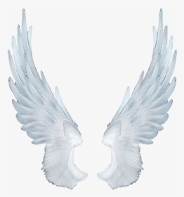 #wing #fairy #fairywing #sky #fly #wings #wingsofanangel - White Angel Wings, HD Png Download, Transparent PNG