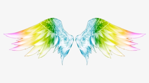 Angel Wings Png Images Transparent Angel Wings Image Download