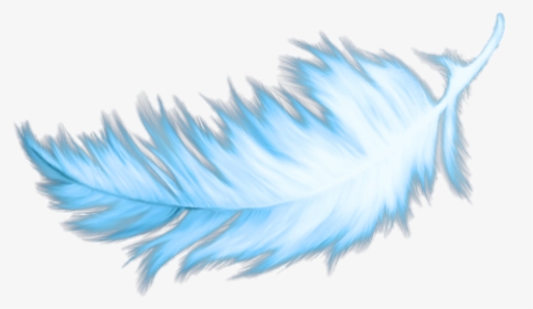 #wing #feather #love #free #freedom #freetoedit #remixit - Macro Photography, HD Png Download, Transparent PNG