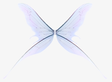 #wing #fairy #fairywing #sky #fly #wings #wingsofanangel - Butterfly, HD Png Download, Transparent PNG