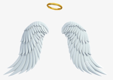 White Background With Angel Wings, HD Png Download, Transparent PNG