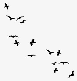 Bird Flying Silhouette Png, Transparent Png, Transparent PNG