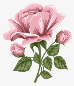 Pink Rose Art Png Picture - Pink Rose Cartoon Png, Transparent Png, Transparent PNG