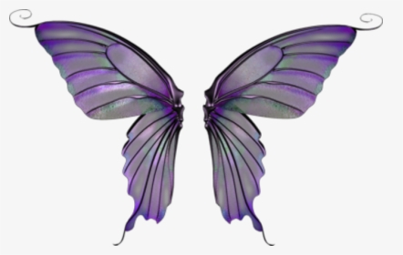 #wings #butterflywings #fairywings #faerywings #costume - Purple Fairy Wings Transparent, HD Png Download, Transparent PNG