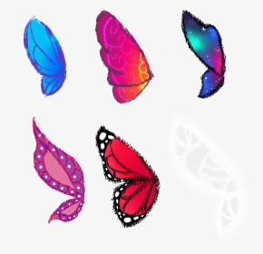 Butterfly/fairy Wings Practise By Karen-donna On Deviantart - Swallowtail Butterfly, HD Png Download, Transparent PNG