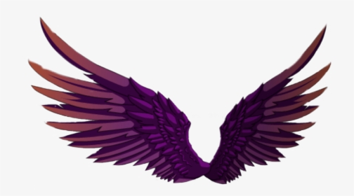 #wings #angel #angelwings #wing #fairy #fairywings • - Illustration, HD Png Download, Transparent PNG