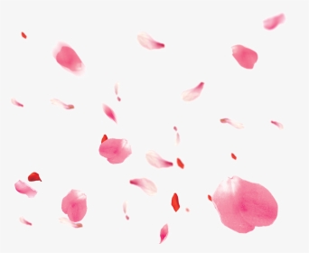 Falling Petals Png - Rose Petals Pink Png, Transparent Png, Transparent PNG
