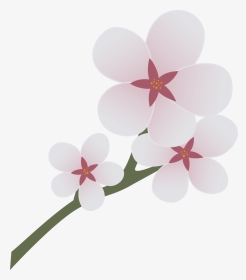 Image Cm Png Bronies - Mlp Cherry Blossom Cutie Mark, Transparent Png, Transparent PNG