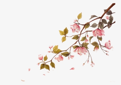 Falling Cherry Blossoms Png - Cherry Blossom Branch Watercolor, Transparent Png, Transparent PNG