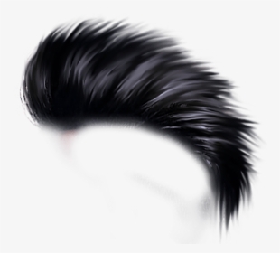 Free Png Hair Png Images Transparent - Hd Hair Style Png, Png Download, Transparent PNG