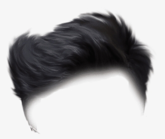 Free Png Download Picsart Photo Studio Png Images Background - Boy Hair ...