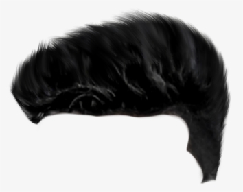 Transparent Black Hair Png - Wig, Png Download, Transparent PNG