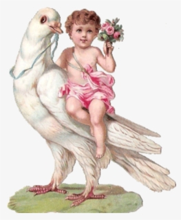 #angel #aesthetic #bird #flowers #painting #freetoedit - Victorian Scrap Child Bird, HD Png Download, Transparent PNG