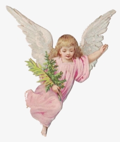 #angel #angelpng #cherub #angelaesthetic #cherubaesthetic - Angel, Transparent Png, Transparent PNG
