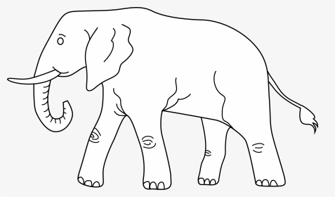 Outline Clipart Elephant - Indian Elephant, HD Png Download, Transparent PNG