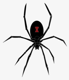 Black Widow Spider Png Clipart - Black Widow Spider Icon, Transparent Png, Transparent PNG