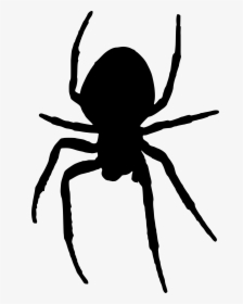Transparent Hanging Spider Png - Spider Silhouette, Png Download, Transparent PNG