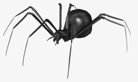 Spider Png Clip Art - Transparent Background Spider Animated Gif, Png Download, Transparent PNG