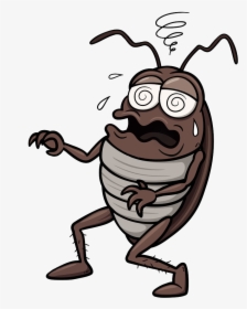Bed Bug Control - Cartoon Cockroach Png, Transparent Png, Transparent PNG