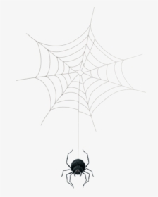 Transparent Cobweb Clipart - Spider Web, HD Png Download, Transparent PNG