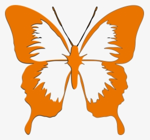 Butterfly, Insect, Animal, Orange, Blue, HD Png Download, Transparent PNG
