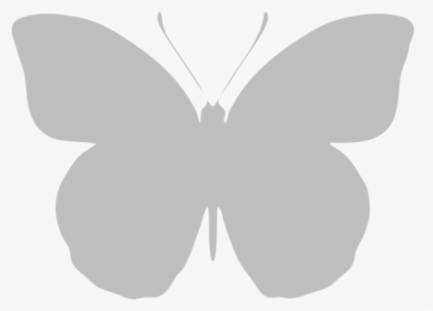Typical Recto Orange-tip - Transparent White Butterfly Png, Png Download, Transparent PNG